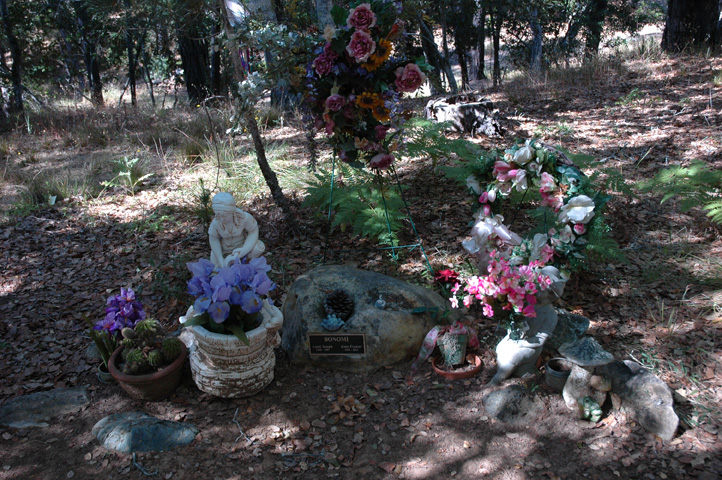 Cambria Graveyard 007.jpg